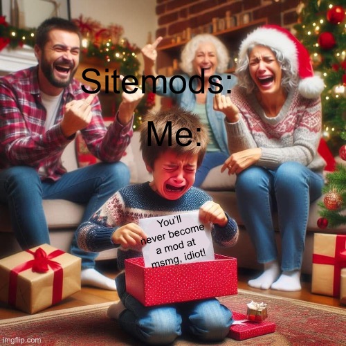 Crying Kid at Xmas | Sitemods:; Me:; You’ll never become a mod at msmg, idiot! | image tagged in crying kid at xmas | made w/ Imgflip meme maker