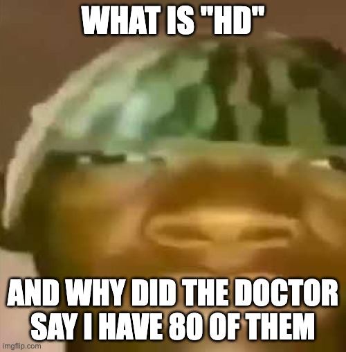 shitpost | WHAT IS "HD"; AND WHY DID THE DOCTOR SAY I HAVE 80 OF THEM | image tagged in shitpost | made w/ Imgflip meme maker