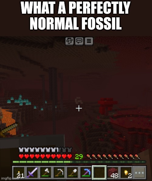 Hmmmm | WHAT A PERFECTLY NORMAL FOSSIL | image tagged in minecraft,among us | made w/ Imgflip meme maker