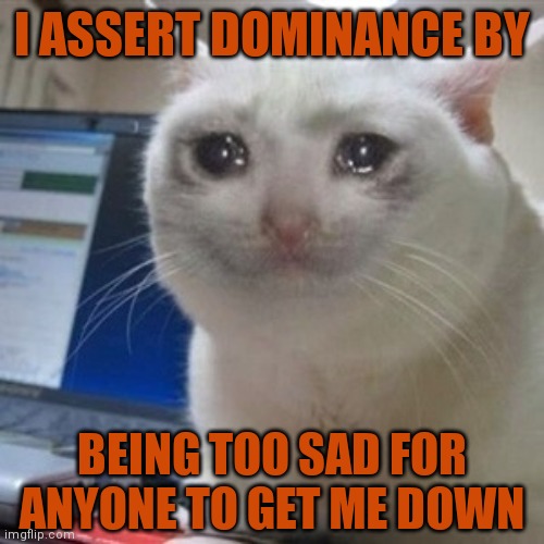 Never met a hope I couldn't lose | I ASSERT DOMINANCE BY; BEING TOO SAD FOR ANYONE TO GET ME DOWN | image tagged in crying cat,depression | made w/ Imgflip meme maker