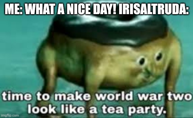 Why is this so true? | ME: WHAT A NICE DAY! IRISALTRUDA: | image tagged in time to make ww2 look like a tea party | made w/ Imgflip meme maker