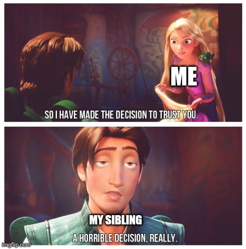 A horrible decision really | ME; MY SIBLING | image tagged in a horrible decision really | made w/ Imgflip meme maker
