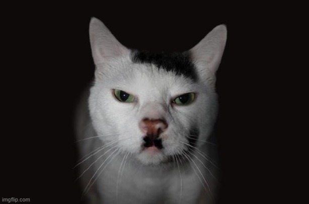 Kitler | image tagged in kitler | made w/ Imgflip meme maker