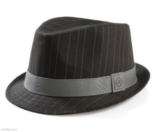 Logic Fedora | image tagged in logic fedora | made w/ Imgflip meme maker