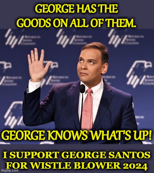 George Santos Whistle-blower 2024 | GEORGE HAS THE GOODS ON ALL OF THEM. GEORGE KNOWS WHAT'S UP! I SUPPORT GEORGE SANTOS FOR WISTLE BLOWER 2024 | image tagged in george santos,wistle-blower,political schmucks | made w/ Imgflip meme maker