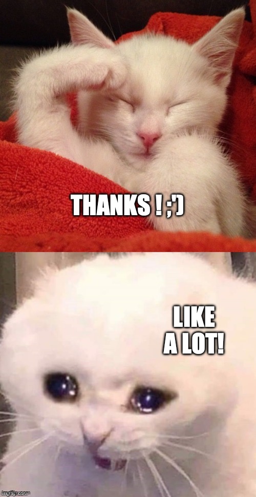 Crying Salute Cat | THANKS ! ;') LIKE A LOT! | image tagged in crying salute cat | made w/ Imgflip meme maker