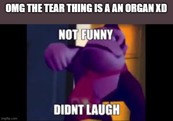 Not Funny Didnt Laugh | OMG THE TEAR THING IS A AN ORGAN XD | image tagged in not funny didnt laugh | made w/ Imgflip meme maker