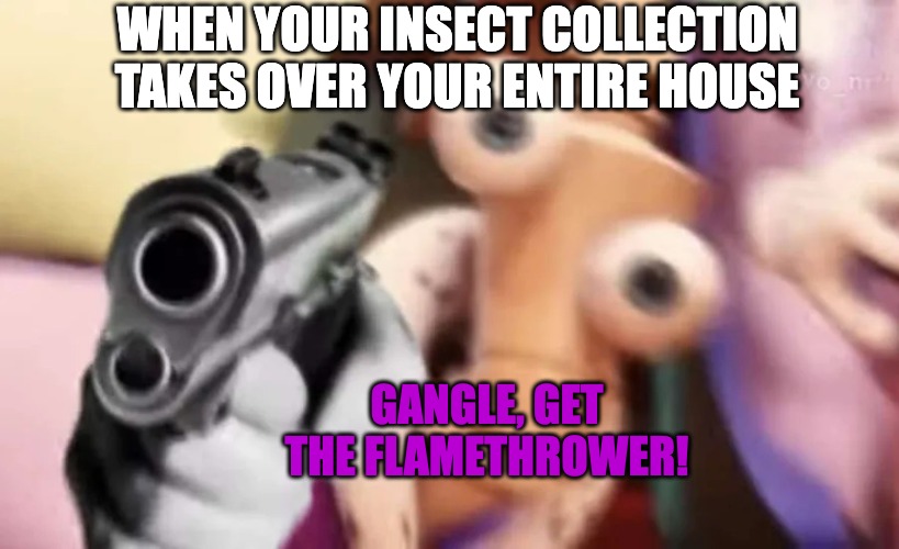 Kinger with a gun | WHEN YOUR INSECT COLLECTION TAKES OVER YOUR ENTIRE HOUSE; GANGLE, GET THE FLAMETHROWER! | image tagged in kinger with a gun | made w/ Imgflip meme maker