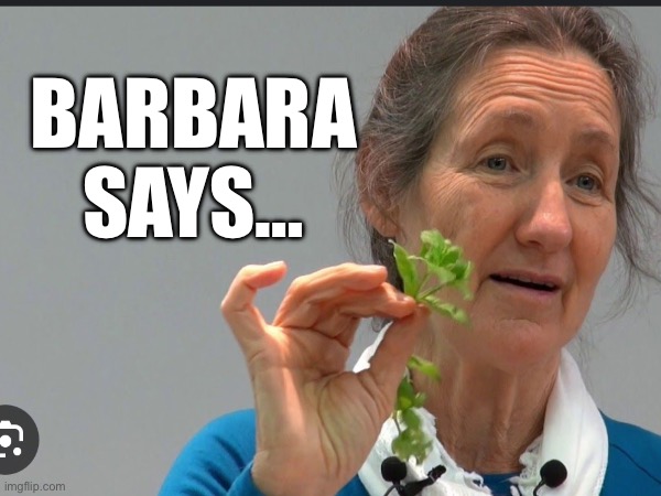 Barbara Says | BARBARA
SAYS… | image tagged in eating healthy | made w/ Imgflip meme maker