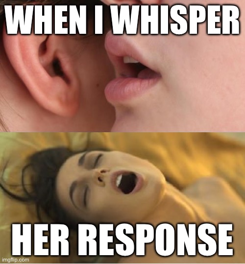Whisper orgasm | WHEN I WHISPER; HER RESPONSE | image tagged in whisper orgasm | made w/ Imgflip meme maker