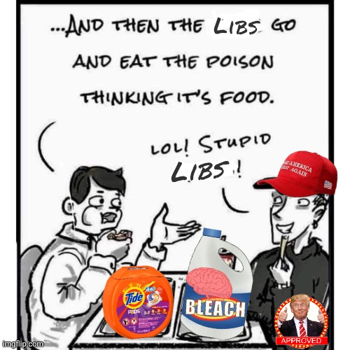 Stupid libs! | Libs; Libs | image tagged in drink bleach,tide pods gene pool,maga,politics,liberal logic | made w/ Imgflip meme maker