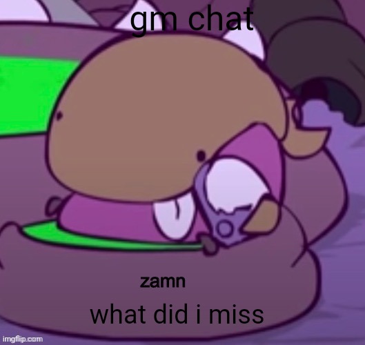 derpfestor zamn | gm chat; what did i miss | image tagged in derpfestor zamn | made w/ Imgflip meme maker