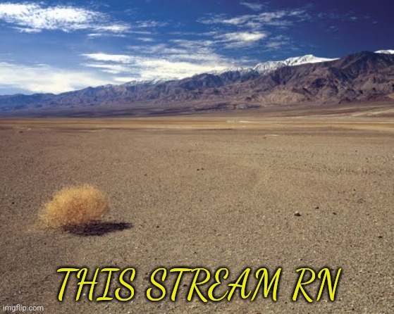 desert tumbleweed | THIS STREAM RN | image tagged in desert tumbleweed | made w/ Imgflip meme maker