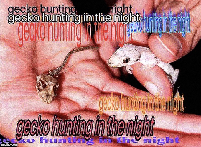 gecko hunting in the night | image tagged in gecko,lizard,deep fried,dank memes,skeleton | made w/ Imgflip meme maker