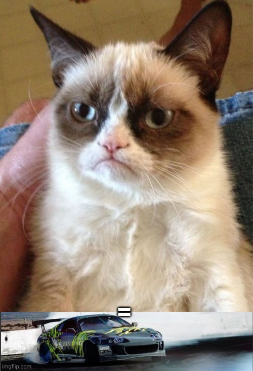 = | image tagged in memes,grumpy cat,akifhaziq supra mk4 temp | made w/ Imgflip meme maker