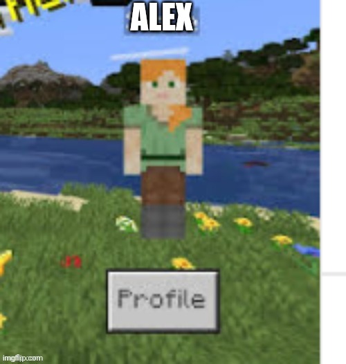 ALEX | made w/ Imgflip meme maker