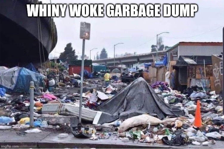 California cities | WHINY WOKE GARBAGE DUMP | image tagged in california cities | made w/ Imgflip meme maker