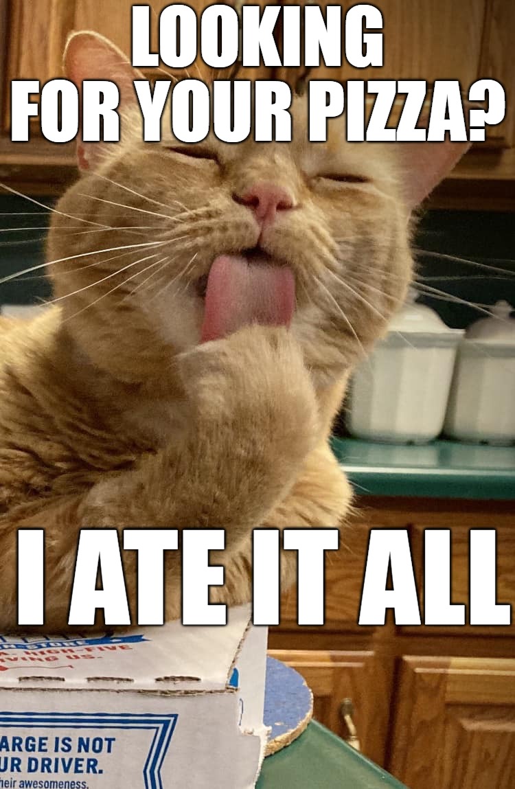 LOOKING FOR YOUR PIZZA? I ATE IT ALL | image tagged in meme,memes,cat,cats,funny | made w/ Imgflip meme maker