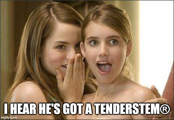 Girls gossiping | I HEAR HE'S GOT A TENDERSTEM® | image tagged in girls gossiping | made w/ Imgflip meme maker