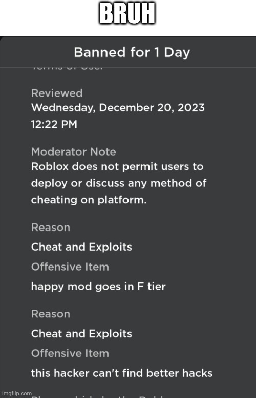 BRUH | image tagged in roblox,banned,why,moderation system | made w/ Imgflip meme maker
