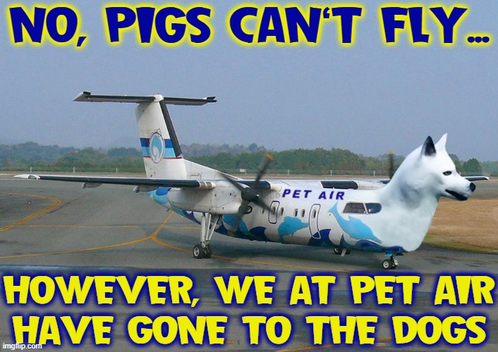 Want Your Dog to Travel First Class?  Try Pet Air | NO, PIGS CAN'T FLY... HOWEVER, WE AT PET AIR
HAVE GONE TO THE DOGS | image tagged in vince vance,dogs,memes,when pigs fly,pet,air | made w/ Imgflip meme maker