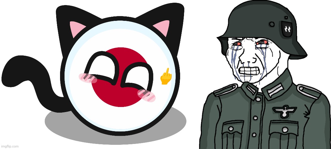 New Template | 🖕 | image tagged in japanball,wojak anti-fandom s s -wehrmacht copping and seething | made w/ Imgflip meme maker