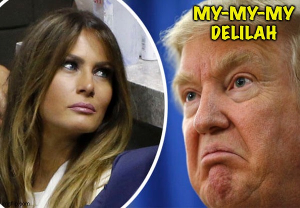 Trump and Melania | MY-MY-MY
DELILAH | image tagged in trump and melania | made w/ Imgflip meme maker