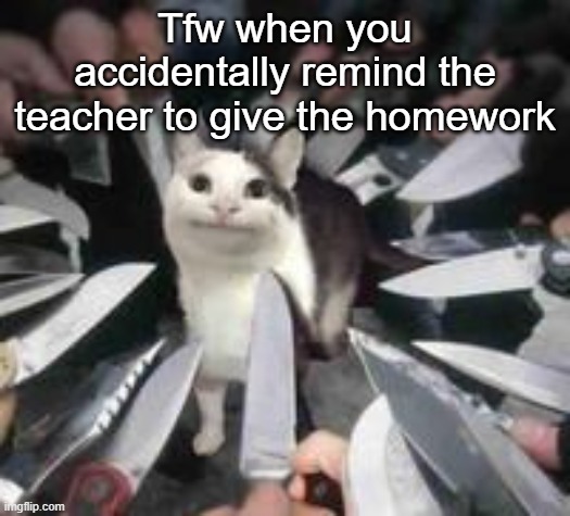 sussy cat | Tfw when you accidentally remind the teacher to give the homework | image tagged in knives surrounding polite cat,memes,beluga,nerd,homework,school | made w/ Imgflip meme maker