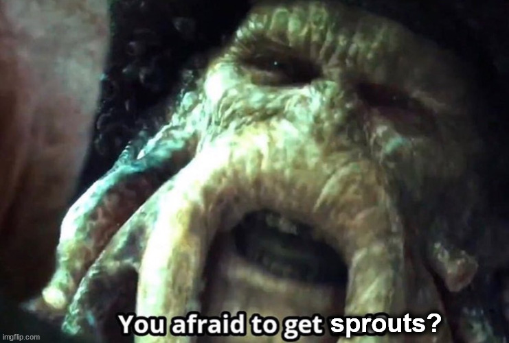 Afraid to get wet? | sprouts? | image tagged in afraid to get wet | made w/ Imgflip meme maker