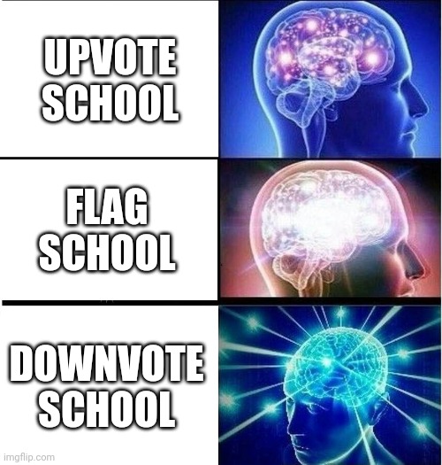 Expanding brain 3 panels | UPVOTE SCHOOL; FLAG SCHOOL; DOWNVOTE SCHOOL | image tagged in expanding brain 3 panels | made w/ Imgflip meme maker