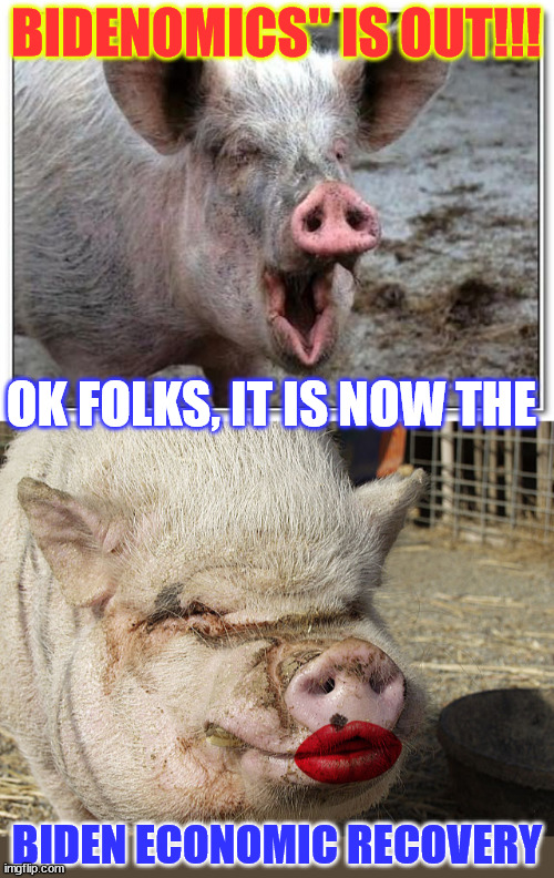 However they word it... It's still lipstick on a pig... | BIDENOMICS" IS OUT!!! OK FOLKS, IT IS NOW THE; BIDEN ECONOMIC RECOVERY | image tagged in pig,lipstick on a pig,bidenomics,ruin,america | made w/ Imgflip meme maker