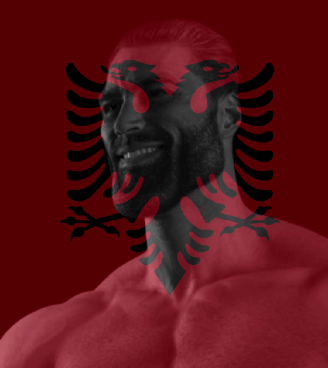 High Quality Albanian classic Blank Meme Template