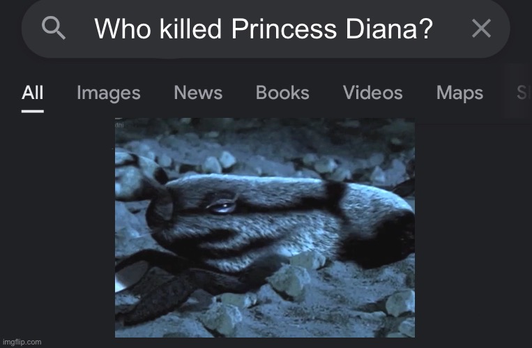 Fake search | Who killed Princess Diana? | image tagged in fake search,memes,shitpost,meme,british royals | made w/ Imgflip meme maker