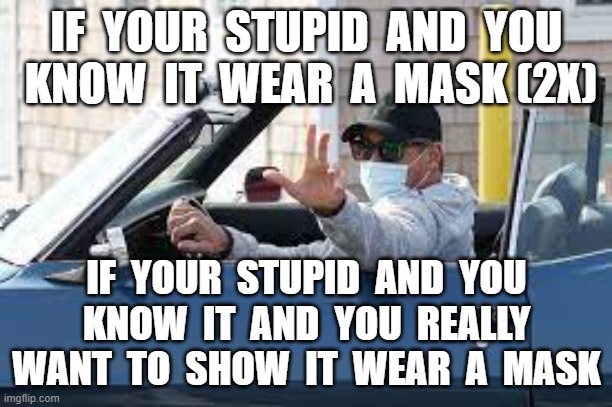 IF  YOUR  STUPID  AND  YOU  KNOW  IT  WEAR  A  MASK (2X); IF  YOUR  STUPID  AND  YOU  KNOW  IT  AND  YOU  REALLY  WANT  TO  SHOW  IT  WEAR  A  MASK | image tagged in covid,convid,face mask,covid 19,plandemic,mask | made w/ Imgflip meme maker