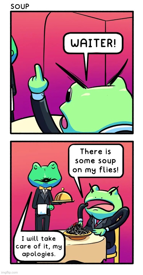 Soup in flies | image tagged in frog,soup,flies,fly,comics,comics/cartoons | made w/ Imgflip meme maker