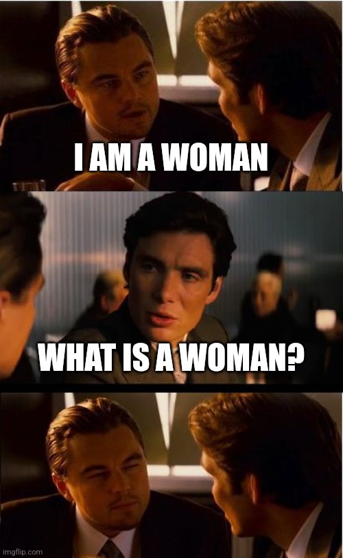 Inception | I AM A WOMAN; WHAT IS A WOMAN? | image tagged in memes,inception | made w/ Imgflip meme maker