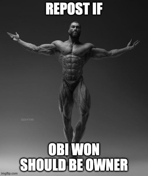 gigachad arms out | REPOST IF; OBI WON SHOULD BE OWNER | image tagged in gigachad arms out | made w/ Imgflip meme maker