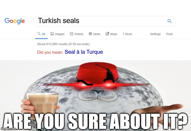 Did you mean Seal à la Turque? | Turkish seals; Seal à la Turque; ARE YOU SURE ABOUT IT? | image tagged in did you mean,memes | made w/ Imgflip meme maker