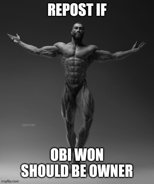 gigachad arms out | REPOST IF; OBI WON SHOULD BE OWNER | image tagged in gigachad arms out | made w/ Imgflip meme maker