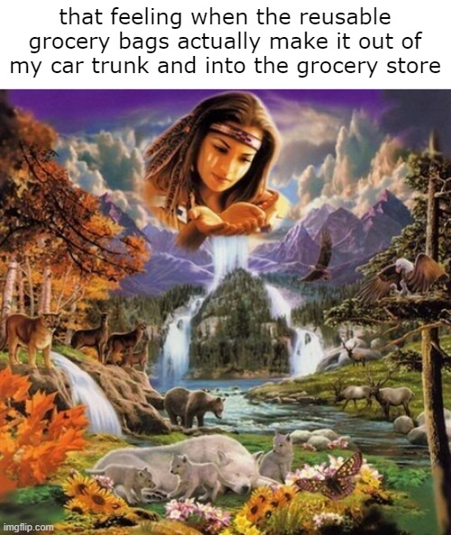 that feeling when the reusable grocery bags actually make it out of my car trunk and into the grocery store | image tagged in funny memes,grocery store | made w/ Imgflip meme maker