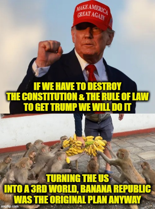 More Leftist Logic | IF WE HAVE TO DESTROY
THE CONSTITUTION & THE RULE OF LAW
TO GET TRUMP WE WILL DO IT; TURNING THE US
INTO A 3RD WORLD, BANANA REPUBLIC
WAS THE ORIGINAL PLAN ANYWAY | image tagged in trump,leftists | made w/ Imgflip meme maker