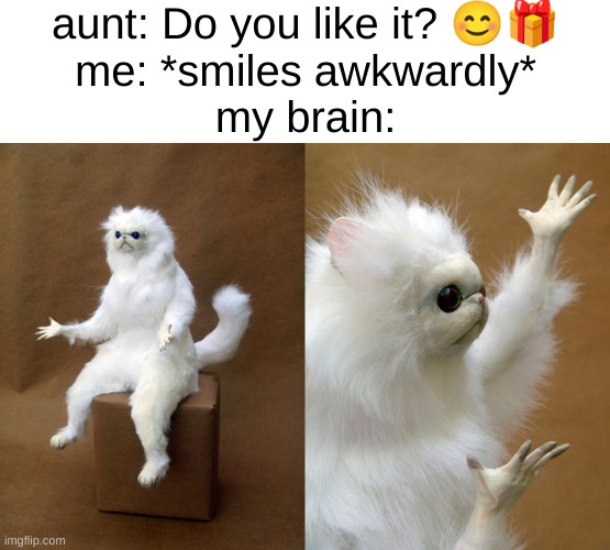 "Yes... but... what is it?" | aunt: Do you like it? 😊🎁
me: *smiles awkwardly*
my brain: | image tagged in memes,persian cat room guardian,christmas,aunt | made w/ Imgflip meme maker