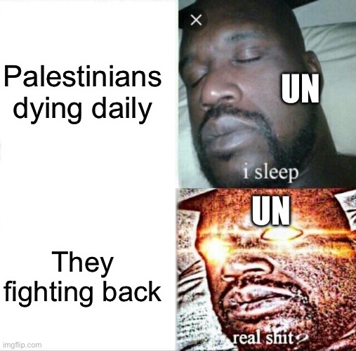 Sleeping Shaq Meme | Palestinians dying daily; UN; UN; They fighting back | image tagged in memes,sleeping shaq | made w/ Imgflip meme maker