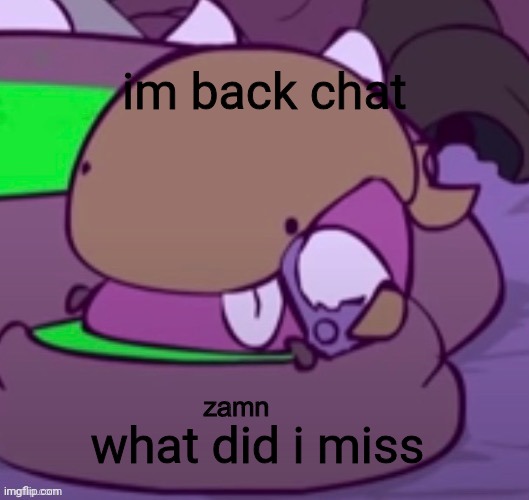derpfestor zamn | im back chat; what did i miss | image tagged in derpfestor zamn | made w/ Imgflip meme maker