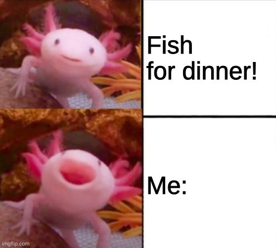 Happy axolotl | Fish for dinner! Me: | image tagged in axolotl drake | made w/ Imgflip meme maker