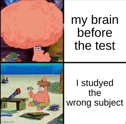 *STILL PASSES* | my brain before the test; I studied the wrong subject | image tagged in patrick big brain,test,school,fun stream,fun,funny | made w/ Imgflip meme maker
