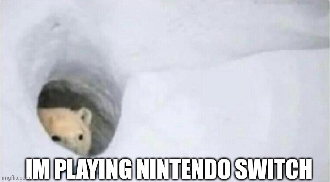 Bonjour Bear | IM PLAYING NINTENDO SWITCH | image tagged in bonjour bear | made w/ Imgflip meme maker