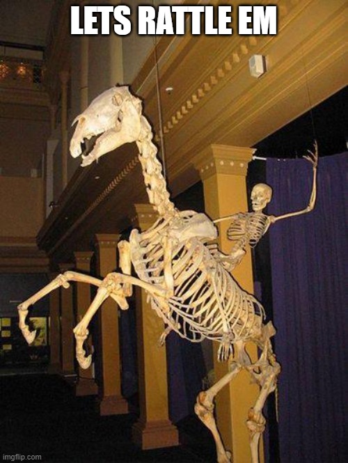 spooky horse and rider skeleton | LETS RATTLE EM | image tagged in spooky horse and rider skeleton | made w/ Imgflip meme maker