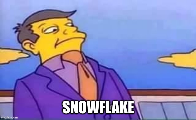 skinner pathetic | SNOWFLAKE | image tagged in skinner pathetic | made w/ Imgflip meme maker