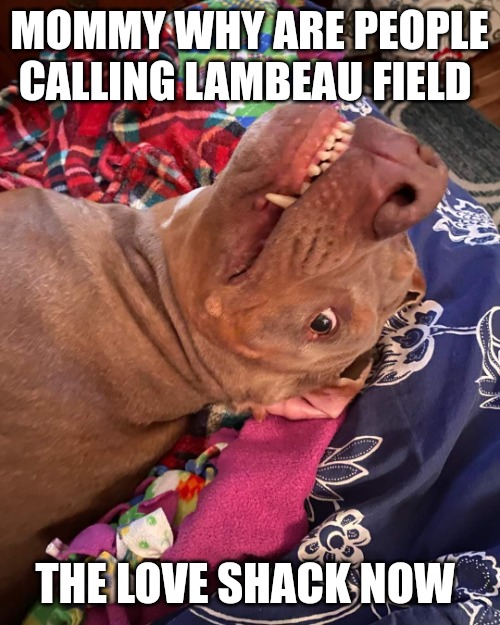Johnny Hollywood | MOMMY WHY ARE PEOPLE CALLING LAMBEAU FIELD; THE LOVE SHACK NOW | image tagged in johnny hollywood,memes,green bay packers,funny animals,nfl memes | made w/ Imgflip meme maker